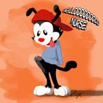  animaniacs neokat tagme wakko_warner 