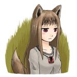  abekawa animal_ears bad_id bad_pixiv_id brown_hair holo long_hair red_eyes solo spice_and_wolf tail wolf_ears 