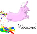  friendship_is_magic islam muhammad my_little_pony religion 