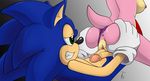  amy_rose sonic_team sonic_the_hedgehog tagme the_other_half 