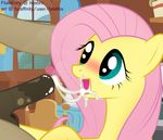  doctor_whooves fatalfox fluttershy friendship_is_magic my_little_pony 