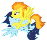  friendship_is_magic my_little_pony soarin spitfire tggeko 