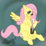  fluttershy friendship_is_magic my_little_pony silver-scarecrow tagme 