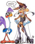  looney_tunes roadrunner tagme wile_e_coyote 