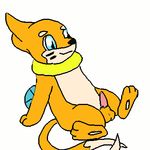  animated buizel pokemon tagme 