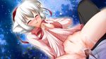  momiji_inubashiri tagme touhou 