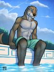  biceps blue_eyes blue_sky chest_tuft clothing cloud clouds fur male mammal muscles mustelid otter pecs pool shorts sitting smile solo swimming_pool swimming_trunks swimsuit topless tsaiwolf tuft water wet whiskers 