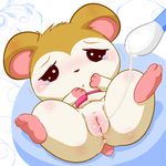  anus clitoris crying cub cum cum_in_pussy cum_inside cum_string female forced hamster hamtaro lying mammal maverick nude on_back pashmina penis pussy q-tip rape rodent spread_legs spreading vaginal young 