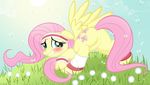  butt dandelion equine female feral fluttershy_(mlp) friendship_is_magic grass jungleanimal junglepony looking_back mammal my_little_pony pegasus presenting solo sweatband wings 