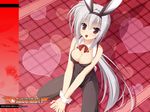  animal_ears bare_shoulders between_legs breasts bunny_ears bunny_girl bunnysuit chocolate chocolate_heart cleavage dracu-riot! elena_olegovna_owen fake_animal_ears fishnet_pantyhose fishnets hairband heart highres kobuichi looking_at_viewer medium_breasts mouth_hold pantyhose red_eyes side_ponytail silver_hair solo squatting wallpaper wrist_cuffs 