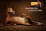  advertisement censored equine feral horse leaf male mammal smile vine_leaf 