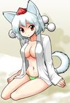  animal_ears bare_legs barefoot breasts cleavage dress_shirt hat inubashiri_momiji medium_breasts mono_(moiky) navel no_bra no_pants open_clothes open_shirt panties red_eyes shirt short_hair silver_hair sitting solo striped striped_panties tail tokin_hat touhou underwear white_shirt wolf_ears wolf_tail yokozuwari 