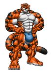  biceps big_muscles brown_hair bulge feline fur green_eyes hair looking_at_viewer male mammal muscles nipples orange_fur pecs plain_background solo stripes thong tiger toned topless underwear unknown_artist white_background white_fur zeusralo 