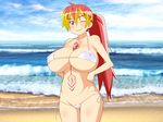  ao_no_exorcist beach bikini breasts kirigakure_shura large_breasts makarou ocean ponytail smile swimsuit wink 