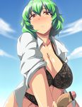  bar_censor black_bra blue_sky blush bra breasts censored cleavage cloud day garter_belt green_hair handjob huge_breasts kazami_yuuka ky. lace lace-trimmed_bra lingerie open_clothes open_shirt penis pov red_eyes shirt sky sleeves_pushed_up solo_focus touhou underwear 