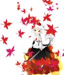  animal_ears bad_id bad_pixiv_id hat inubashiri_momiji long_skirt red_eyes risshu skirt solo sword tail tokin_hat touhou weapon white_hair wolf_ears wolf_tail 