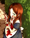  alice_(wonderland) alice_in_wonderland american_mcgee's_alice bad_id bad_pixiv_id blood blood_on_face brown_hair crazy_eyes green_eyes gwayo knife long_hair lowres smile solo 