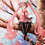  alternate_color alternate_hair_color black_footwear boots cherry cherry_blossoms day detached_sleeves eiji_(eiji) food fruit hatsune_miku headphones in_tree long_hair necktie object_namesake outdoors petals pink_hair sakura_miku sitting sitting_in_tree skirt smile solo thighhighs tree twintails very_long_hair vocaloid zettai_ryouiki 