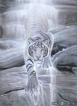  2009 ambiguous_gender digitigrade feline feral fur khaosdog looking_at_viewer mammal nature outside pink_nose rock solo standing stripes tiger traditional_media walking water waterfall web_address white_eyes white_fur white_tiger 