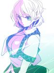  breasts green_eyes kiguchiko large_breasts mizuhashi_parsee open_clothes open_shirt pointy_ears scarf shirt short_hair solo spot_color touhou upper_body 