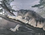  2009 braid canine digitigrade facial_piercing feral forest fur grey_eyes grey_fur khaosdog knife looking_away lying mammal nature nose_piercing nose_ring on_stomach outside piercing pigtails scenery sky solo traditional_media tree weapon white_fur wolf wood 