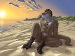  5_toes abs anthro balls beach biceps big_muscles blackymoon cloud hindpaw lion21 male mammal muscles mustelid nude ocean otter paws pecs sand sea seaside sheath sky solo sun sunset toes water webbed_feet 