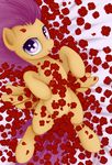  blank_flank cub cutie_mark_crusaders_(mlp) equine female feral flower friendship_is_magic hair hi_res horse mammal my_little_pony open_mouth orange_body pegasus petal pony purple_eyes purple_hair rainbow_(artist) roses scootaloo_(mlp) smile solo wings young 