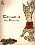  boxers cangaru kangaroo male mammal marsupial pubes pubic_hair rocko underwear undressing 