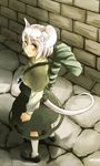  animal_ears backpack bag blush brown_eyes capelet dowsing_rod dress gem grey_hair highres jewelry looking_at_viewer looking_up mouse_ears mouse_tail nazrin pendant shirt short_hair silver_hair skirt skirt_set solo tail touhou wall yudepii 