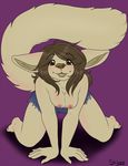  anthro breasts brown_eyes brown_hair canine clothed clothing cute female fennec fox hair looking_at_viewer mammal nipples purple_background ship-wreck skimpy solo topless 