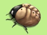  animal ao_usagi bug chest commentary from_above green_background hokuto_no_ken insect ladybug lowres manly muscle no_humans parody pun simple_background solo 