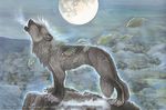  2009 canine feral khaosdog leaves mammal moon rock snow solo tascun traditional_media wolf 