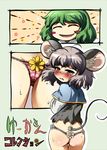  animal_ears ass blush blush_stickers closed_eyes crying flower green_hair grey_hair highres kazami_yuuka mepikari mouse_ears mouse_tail multiple_girls nazrin no_pants open_mouth panties plaid sunflower tail tears thong torn_clothes touhou underwear 