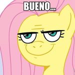  cutie_mark equine female fluttershy_(mlp) friendship_is_magic green_eyes hair half_moon_eyes horse lol_comments long_hair mammal meme my_little_pony pegasus pink_hair pony reaction_image smile smirk solo spanish_text text unknown_artist wings 