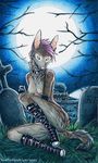  breasts buckles canine collar fangs female grass graveyard hair mammal moon naturally_censored night nipple_piercing nipples piercing purple_hair scenery sitting sleeves solo tail_band tombstone toots toots_(character) train tree white_eyes wood 