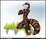  blue_hair butt canine feline grass hair half_blind hindpaw howlie_tigerpaw hybrid kneeling looking_at_viewer looking_back male mammal pawpads paws scar shiuk short_hair smile solo stripes thong tiger wolf 