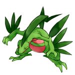  good_frog grovyle lizard nintendo no_humans plant pokemon sceptile simple_background 