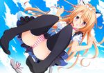  animal_ears azure_(capriccio) cameltoe pantsu shimapan tail thighhighs 