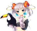  bad_id bad_pixiv_id bird blue_eyes blush character_request dancho_(dancyo) earrings flower hair_flower hair_ornament jacket jewelry midriff off_shoulder original short_hair silver_hair simple_background sleeves_past_wrists solo toucan twintails white_background 