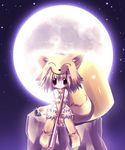  animal animal_ears bell fox_ears hat moon moonlight_flower paco ragnarok_online solo tail 