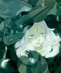  absurdres bad_id bad_pixiv_id green_eyes highres nadashima_gy original plant solo water white_hair 