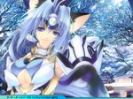  animal_ears blue_eyes blue_hair cat_ears creayus elbow_gloves gloves kos-mos kos-mos_ver._4 long_hair solo translation_request wallpaper xenosaga xenosaga_episode_iii 