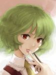  ascot bad_id bad_pixiv_id face finger_to_mouth green_hair kazami_yuuka lips looking_at_viewer portrait red_eyes shirt short_hair smile solo touhou upper_body urin vest 