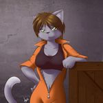  anthro breasts cat clothing ear_piercing feline female green_eyes hair jumpsuit kiyochii long_hair looking_at_viewer mammal piercing smile solo 