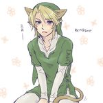  1boy animal_ears blonde_hair blue_eyes blush cat_ears cat_tail green_shirt hat link lowres male male_focus pointy_ears shirt sitting solo tail the_legend_of_zelda 