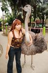  1girl asian bird brown_hair chouzuki_maryou cosplay dead_or_alive denim hitomi_(doa) hitomi_(doa)_(cosplay) jeans ostrich pants photo tecmo 