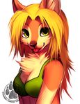  bust canine cute falvie female hair looking_at_viewer mammal solo tongue tongue_out wolf 