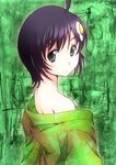  ahoge aqua_eyes araragi_tsukihi black_hair fried_egg hair_ornament japanese_clothes kimono looking_back monogatari_(series) nisemonogatari off_shoulder ranshin short_hair solo 