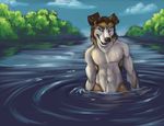  canine chibi-marrow lake male outside tagme topless water 