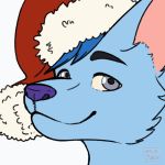  animated blep blue_fur blue_hair canine chazzy christmas fur grey_eyes hair hat holidays jalle mammal purple_nose solo tongue tongue_out wolf 